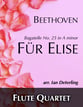 Fur Elise P.O.D cover